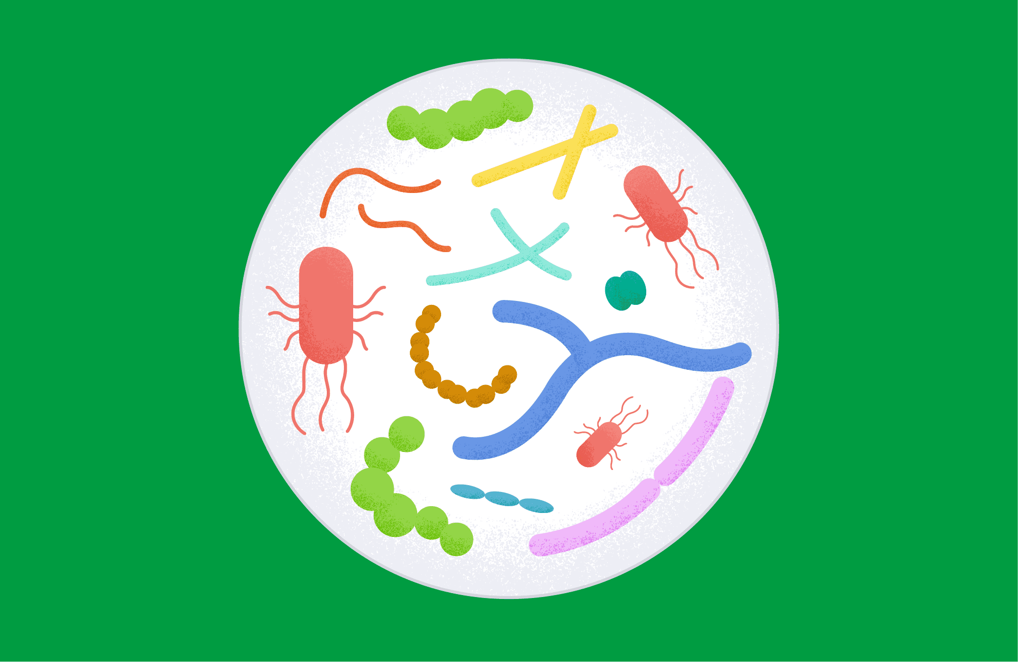 Bagaimana Komunitas Mikroorganisme Usus Berperan dalam Pengelolaan Energi Tubuh
